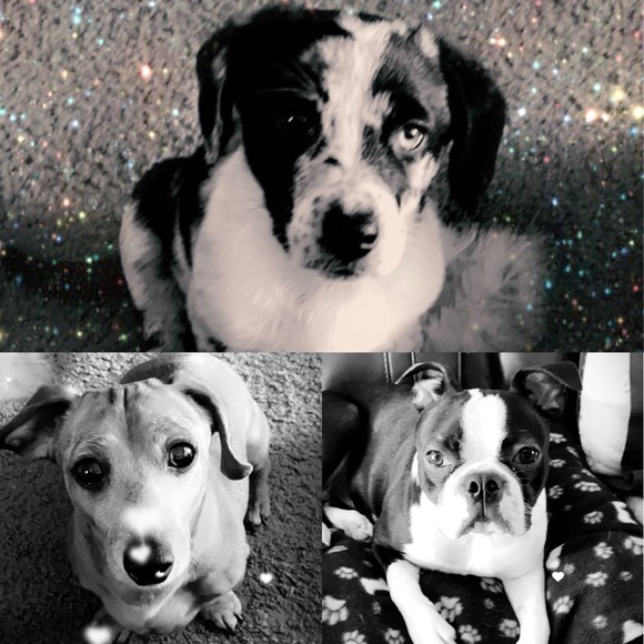 Designer & Luxury Bags, Wallets, Bag charms, Jewelry ๐๐ & Crystals ๐ฎ๐งฟ - Picture 12 of 14